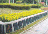 乐遥园