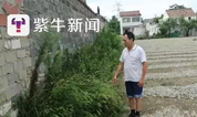 开门见墓，30亩墓地规划到了家门口，也是没谁了