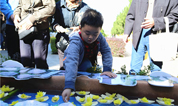 上海福寿园墓地：合肥2018年秋季生态礼葬在合肥大蜀山文化陵园举行