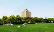 上海福寿园墓地：向阳之路