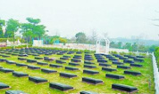 【墓地摘报】四部门联合出台，推行节地生态安葬奖补办法