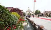 上海西园墓地清明见闻记