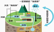 上海古园墓地完成“海绵墓区”改造试点