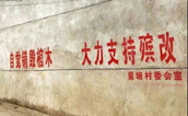 上海墓地：严禁封建迷信，江西组织“风水先生”进行殡改培训。