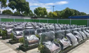 上海古园墓地：自从开展生命文化教育后，我们做什么都想着这个事儿