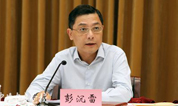 上海墓地：彭沉雷副市长对殡葬领域突出问题专项整治做进一步部署