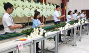 福寿园墓地：集团举办殡仪服务培训（花艺班）
