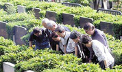 墓地摘报：市规划建设14处公益性公墓
