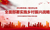 上海墓地：王金华谈做细做精社会事务，助力乡村全面振兴