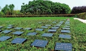 33个公益性公墓实现节地生态，华容投资2.2亿元公益惠民。