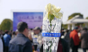 上海古园墓地：情归大海 思念永存