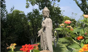 上海至尊园墓地2019年清明祭扫班车安排