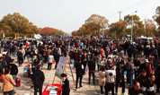 上海古园墓地履行社会责任，坚守安全底线