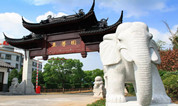 上海至尊园墓地六月新墓上线 | 优诗美地 琴韵流芳 雅菊共赏