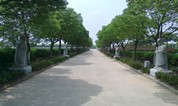上海墓地 双凤墓园严禁客户自驾车前来购墓