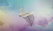 }上海墓地——集团｜生死摆渡人的101颗眼泪【Chapter 4】