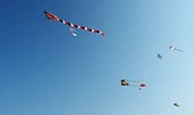 上海海湾陵园2020年上海旅游节第23届旅游风筝会今日开幕，精彩正持续加载！