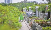 上海墓地 殡葬改革的法治困境及破解对策