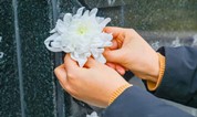 上海墓地：中国人民警察节 向人民警察致敬！