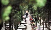 上海墓地:震响时代鼓点 推进殡葬业高质量发展