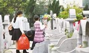上海墓地:民政部答复殡葬相关提案,更多利好持续推进