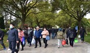 上海海湾园墓地.清明|最美人间四月天,有爱的人在路上