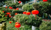 上海福寿园墓地 | 华灯竞处 人月圆