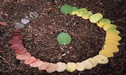 上海墓地:【生命文化教育】殡葬业生命文化教育的特点、主题与有利条件