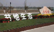 上海墓地:生态葬响应者寥寥并不是钱的问题