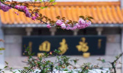 你若需要 我随时在:上海福寿园墓地1V1在线服务,暖~