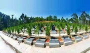 上海墓地:广东省民政厅关于做好建设经营性公墓审批改革工作的通知