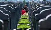 上海墓地:殡葬界被这些事情刷屏了!