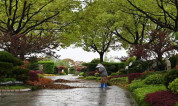 上海墓地：海湾园 青年节|挺身而出海湾人，抗击疫情显担当
