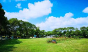 上海墓地价格怎样?哪里比较实惠?