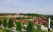 上海墓地:民政部社会事务司司长谈殡葬改革本质与出路