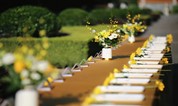 上海墓地：时隔24年，我国拟修订《殡葬管理条例》，公墓占地面积、使用期限拟被严格限制