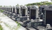 上海墓地：全国“活人墓”等突出问题整治规范工作电视电话会议召开