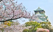 上海墓地:【研究前沿】日本北海道札幌泷野灵园的启示