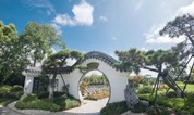 “中国书坛常青树”周慧珺先生今安葬上海海湾园墓地