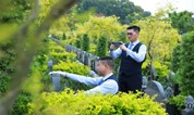 上海墓地 殡改这十年,改了什么?成就了什么?