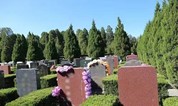 上海墓地 回归殡葬公益属性 减轻群众殡葬负担——殡葬服务收费管理及群众负担情况调查
