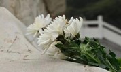 上海墓地 关于殡葬业性质的讨论