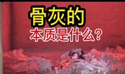 上海墓地 骨灰的本质是什么?