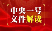2023年中央一号文件发布,要求推进农村丧葬习俗改革