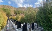 上海墓地 要为去世的亲人买墓地吗?