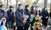 上海墓地 调查 | 2023年清明，你会去扫墓么？