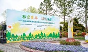 上海墓地 伴花长眠，上海福寿园为11位癌症康复俱乐部会员举行公益花坛葬