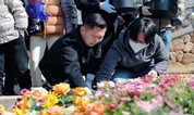 上海墓地 不简单!推进殡葬改革,该省百余家经营性公墓启动节地生态葬共建活动