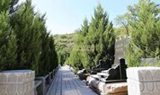 上海墓地｜上海墓地购买需要考虑5点因素！