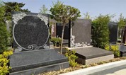 上海墓地|墓葬是一种积极的人类文化行为